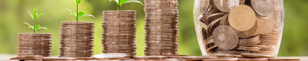 income tax return