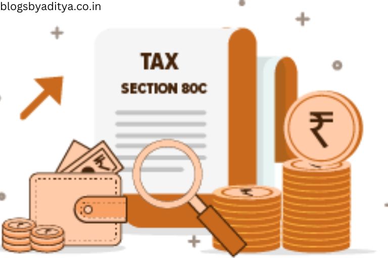 What is Section 80C
